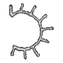 imi