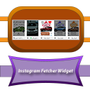 Instagram Fetcher Widget 