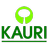 The Kauriproject