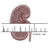 Project Logo