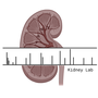 Logo Project KidneyExplorer
