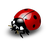 Logo Project Ladybug