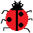 LadybugPDF (4-up tool)