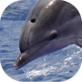LibreGrammar (LanguageTool fork)