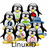 LinuxID