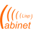 Logo Project Lisp Cabinet