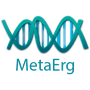 MetaErg