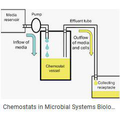 MicrobialChemostatSimulation