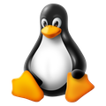 Mind Guard Linux