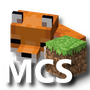 Minecraft Coordinates surface