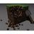 Realistic Minecraft