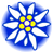 Logo Project MSEuniverse