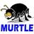 Murtle