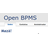 OpenBPMS