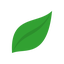 Osoy