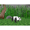 Panda3D-Project-Collection