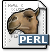 Perl Console & GUI Create Project Files