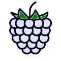 Pi-Wiki