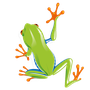 pixFront