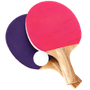 Pong Game