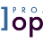 Logo Project ]project-open[ - Project Server