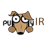 PuppyIR