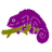 purplechameleon