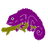 purplechameleon