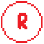 racoon