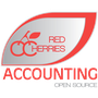 Logo Project Red-Cherries-Accounting