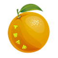 res-downloader