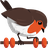 rotki