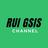 Rui GSIs