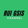 Rui GSIs