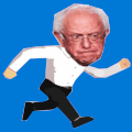 Run Bernie Run