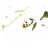 Project Logo