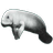 Seacow