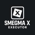 smegma-x