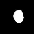 Spheroid_segmentation