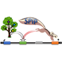 Logo Project Splicing Prediction Pipeline
