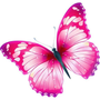 SweetButterfly