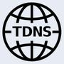 TransDNS Project