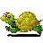 Terrapin