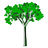 Tree Generator