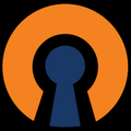 UDP OpenVPN/WebSocket + CDN