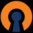 UDP OpenVPN/WebSocket + CDN