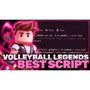 Volleyball Legends Script