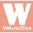 WAutoSize