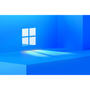 Windows 11