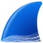 Wireshark latest